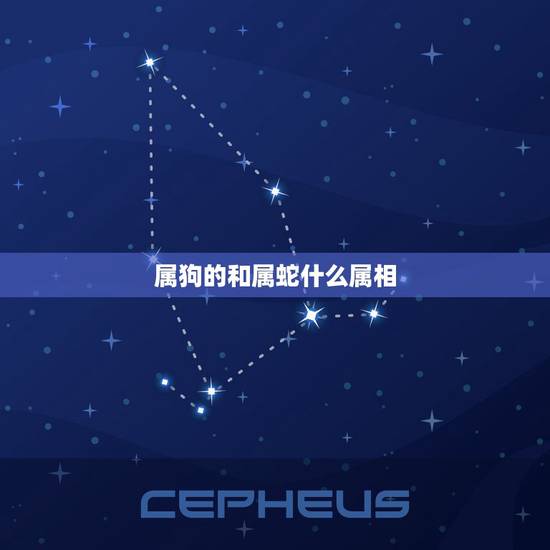 属狗的和属蛇什么属相,属蛇的人和属狗的人生什么属性的孩子好 属狗的和属蛇什么属相,属蛇的人和属狗的人生什么属性的孩子好