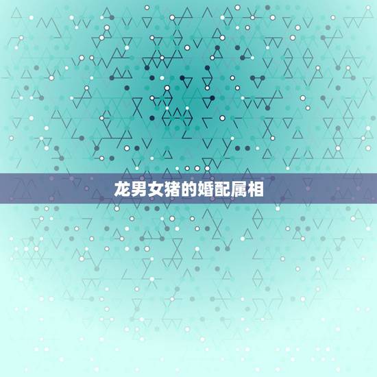 龙男女猪的婚配属相,男属猪和女属龙婚姻相配吗? 龙男女猪的婚配属相,男属猪和女属龙婚姻相配吗?