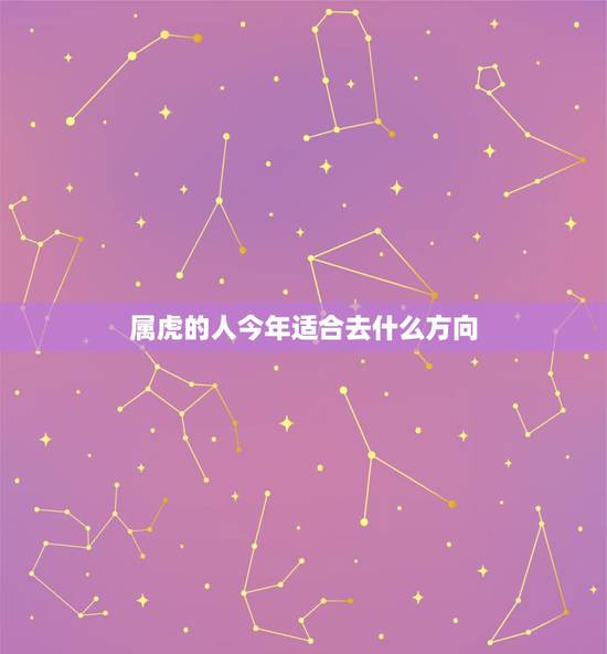 属虎的人今年适合去什么方向，属虎的人适合在哪个方向创业