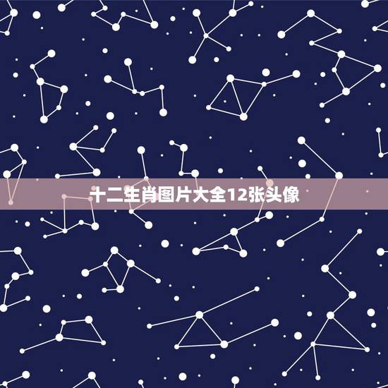 十二生肖图片大全12张头像,十二生肖图片高清大图 十二生肖图片大全12张头像,十二生肖图片高清大图