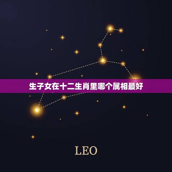 生子女在十二生肖里哪个属相最好,十二生肖表 生子女在十二生肖里哪个属相最好,十二生肖表