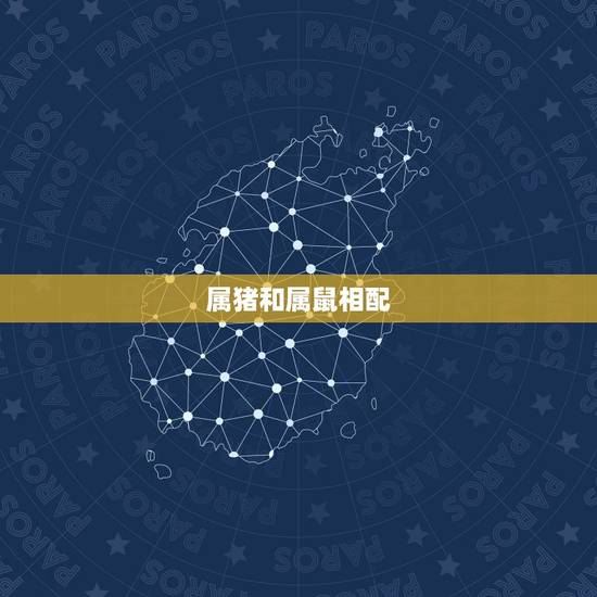 属猪和属鼠相配 属猪和属鼠相配