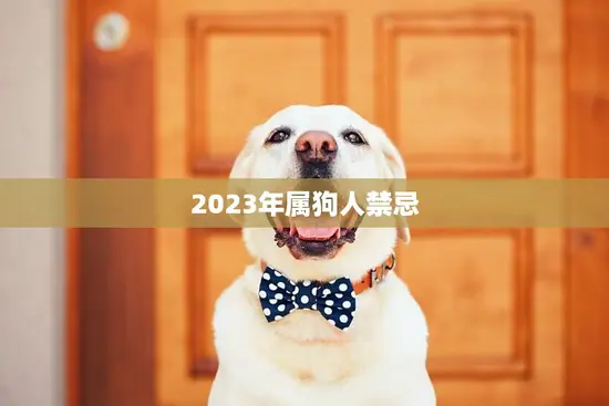 2023年属狗人禁忌(如何避免厄运)