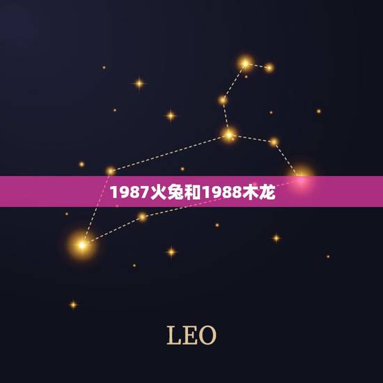 1987火兔和1988木龙，87年的兔和88年的龙相配吗