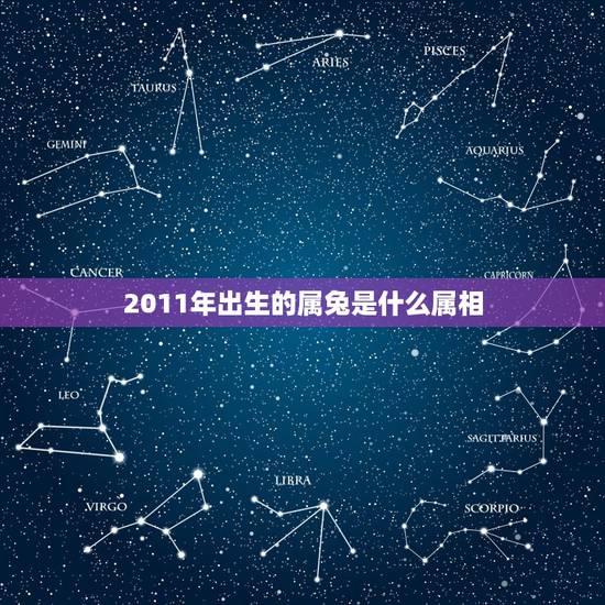 2011年出生的属兔是什么属相,2011年属兔是什么命 2011年出生的属兔是什么属相,2011年属兔是什么命