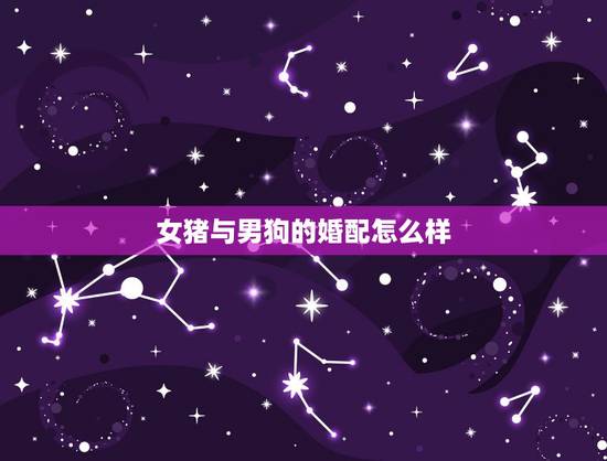 女猪与男狗的婚配怎么样，男狗女猪相配吗？