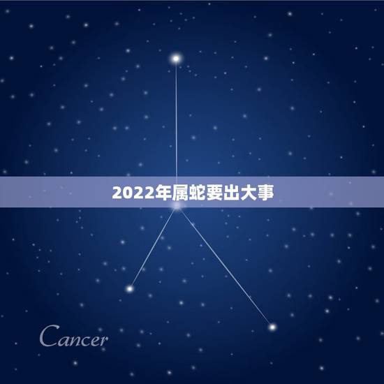 2022年属蛇要出大事 属蛇人2022年运势如何 2022年属蛇要出大事 属蛇人2022年运势如何