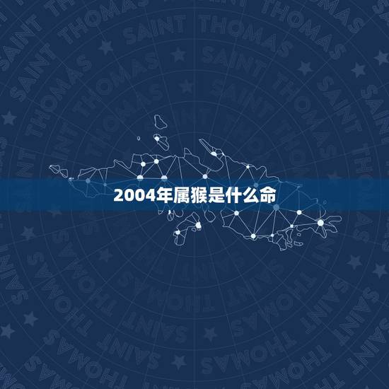 2004年属猴是什么命，2004年出生什么命