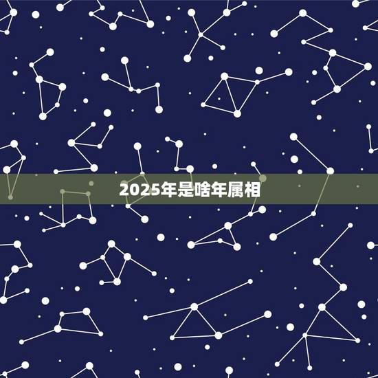 2025年是啥年属相,从2015到2025年每年属相以顺序是 2025年是啥年属相,从2015到2025年每年属相以顺序是