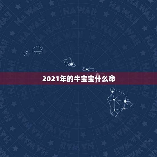2021年的牛宝宝什么命，2021年出生的牛宝宝是什么命