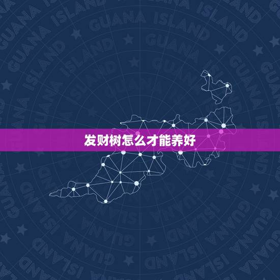 发财树怎么才能养好，发财树要怎么才能养活？