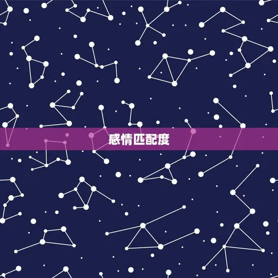 感情匹配度 感情匹配度