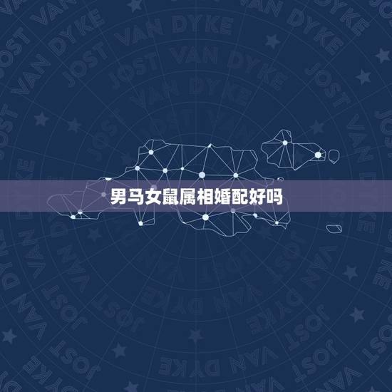 男马女鼠属相婚配好吗，属相婚配：男属马和女属鼠相配吗