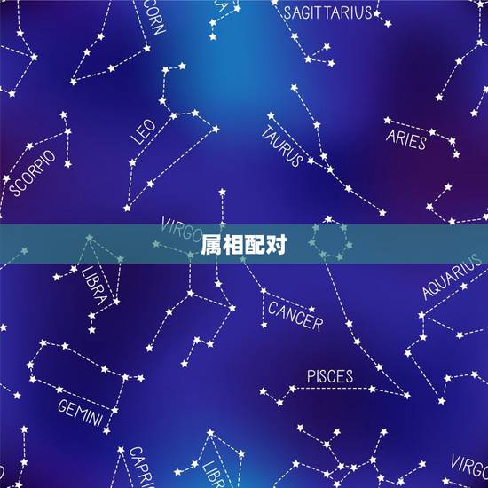 属相配对，星座生肖配对