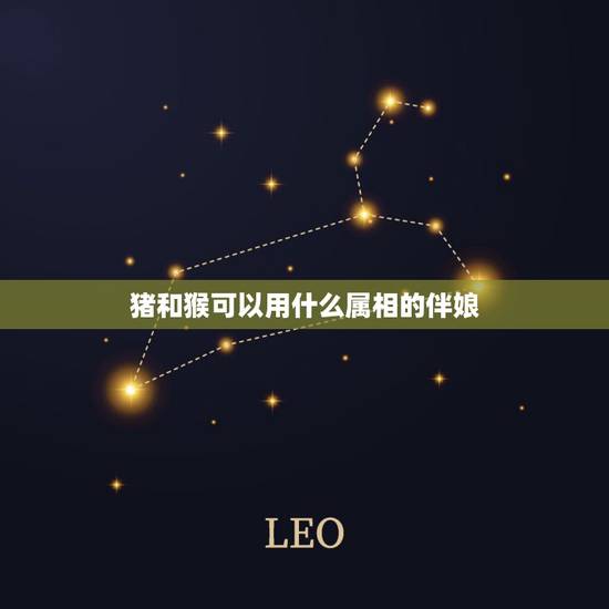 猪和猴可以用什么属相的伴娘，数猪的和数猴的结婚用什么属相当伴郎伴娘