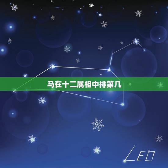 马在十二属相中排第几，马在十二属相中排第几拜托了各位 谢谢