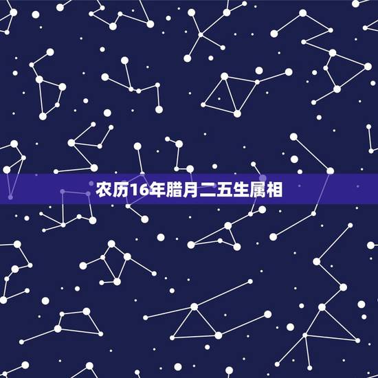 农历16年腊月二五生属相,2011年1月28日农历腊月二十五出生,属哪 农历16年腊月二五生属相,2011年1月28日农历腊月二十五出生,属哪