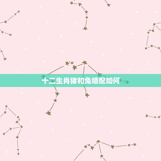 十二生肖猪和兔婚配如何，属猪女和属兔男的相配吗