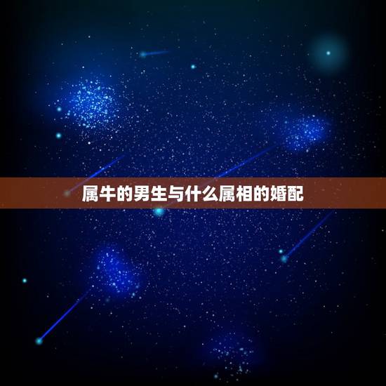属牛的男生与什么属相的婚配,属牛的和什么属相最配 属牛的属相婚配表 属牛的男生与什么属相的婚配,属牛的和什么属相最配 属牛的属相婚配表