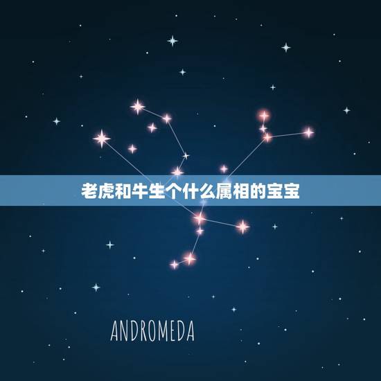老虎和牛生个什么属相的宝宝,属虎牛生个什么属相孩子好 老虎和牛生个什么属相的宝宝,属虎牛生个什么属相孩子好
