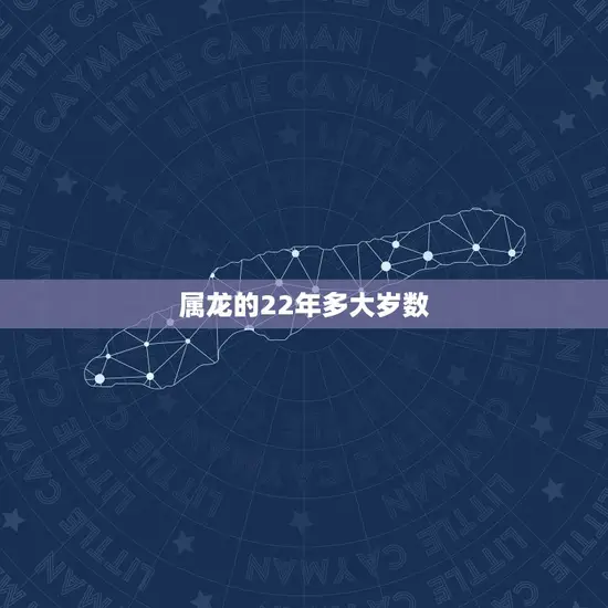 属龙的22年多大岁数