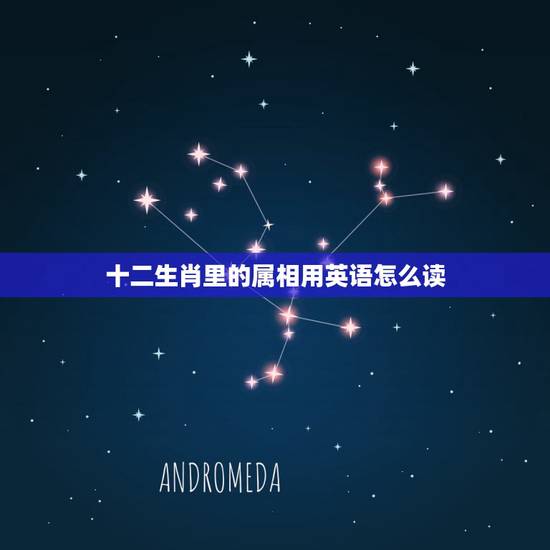 十二生肖里的属相用英语怎么读，十二生肖用英语怎么说呀