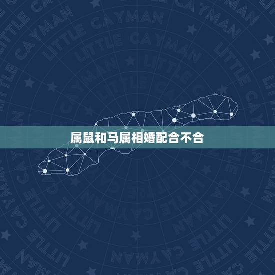 属鼠和马属相婚配合不合,属鼠的人和属马的人的婚配 属鼠和马属相婚配合不合,属鼠的人和属马的人的婚配