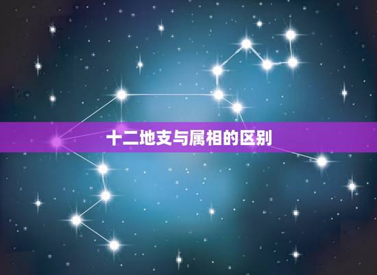 十二地支与属相的区别,十二生肖和十二地支 十二地支与属相的区别,十二生肖和十二地支