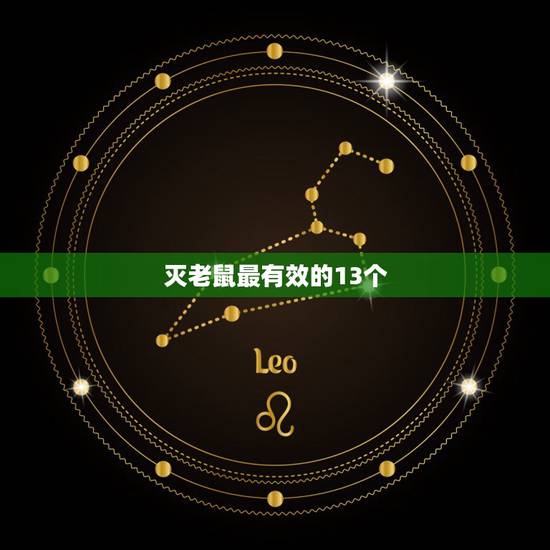 灭老鼠最有效的13个 推荐,家里灭鼠更佳 灭老鼠最有效的13个 推荐,家里灭鼠更佳