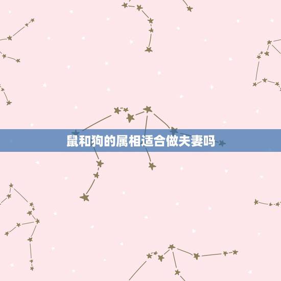 鼠和狗的属相适合做夫妻吗，女儿属相狗和父母属相老鼠犯克怎么办