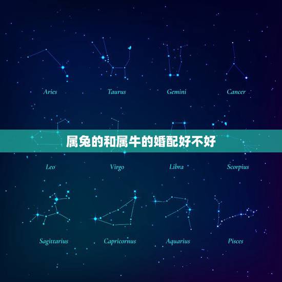 属兔的和属牛的婚配好不好,属牛男和属兔女的婚姻 属兔的和属牛的婚配好不好,属牛男和属兔女的婚姻