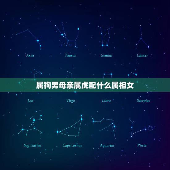 属狗男母亲属虎配什么属相女，男属狗和女属虎配吗 详细？