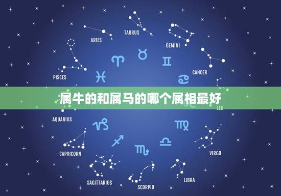 属牛的和属马的哪个属相最好，属马与属牛有什么破解方法