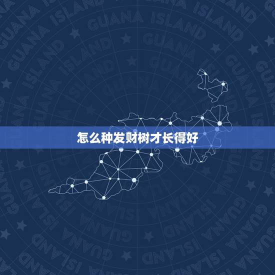 怎么种发财树才长得好,发财树冬季怎么养才长得好 怎么种发财树才长得好,发财树冬季怎么养才长得好