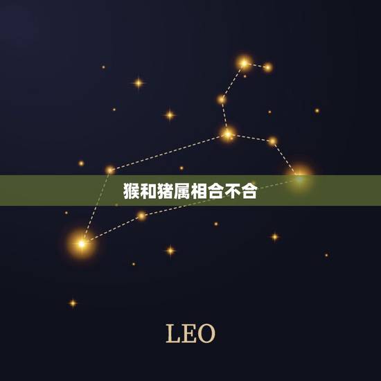 猴和猪属相合不合,属猪和属猴的合不合财 猴和猪属相合不合,属猪和属猴的合不合财