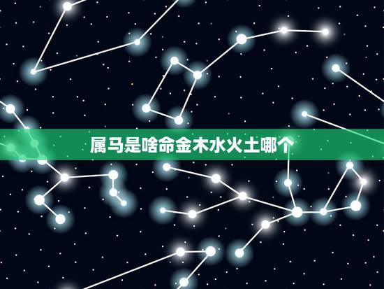 属马是啥命金木水火土哪个,属虎八字算命 属马是啥命金木水火土哪个,属虎八字算命