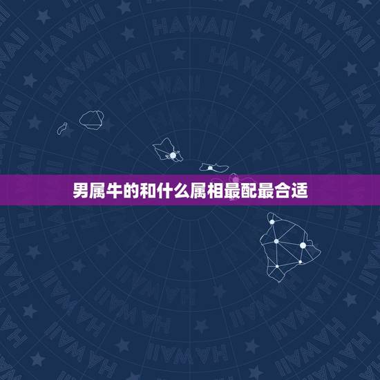 男属牛的和什么属相最配最合适，男牛配什么属相更佳