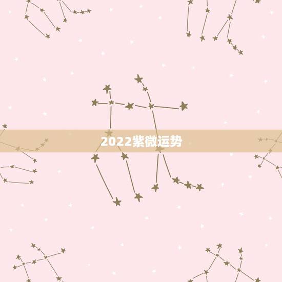 2022紫微运势，2022年十天干运势