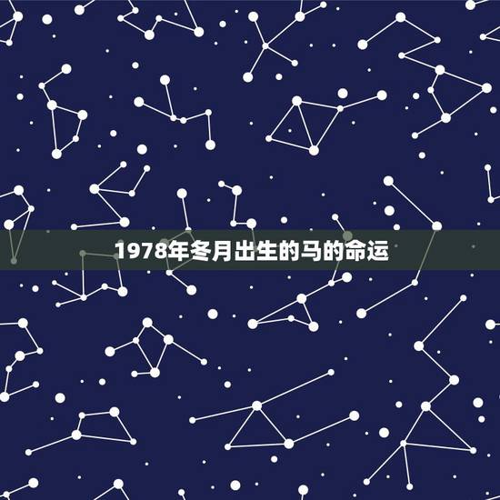 1978年冬月出生的马的命运,1978马冬月初一生命好吗? 1978年冬月出生的马的命运,1978马冬月初一生命好吗?