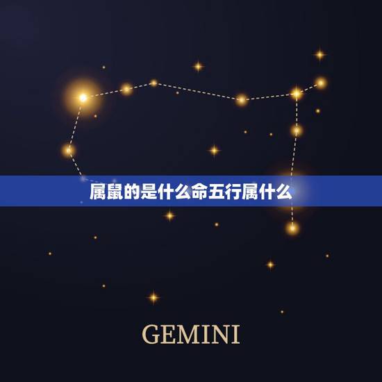 属鼠的是什么命五行属什么，2022 属鼠什么命五行属什么