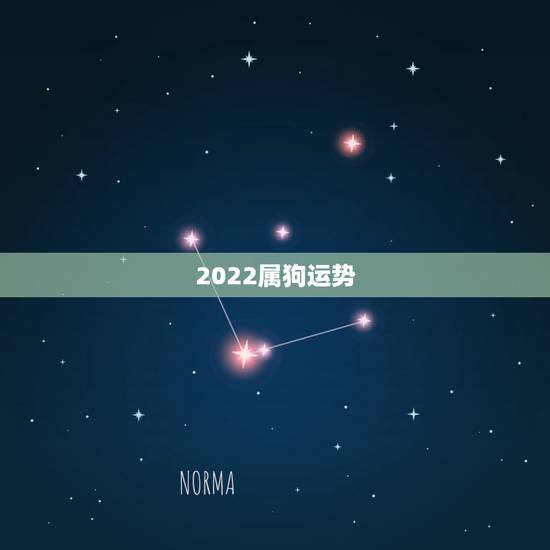 2022属狗运势，2022 年属猪运势