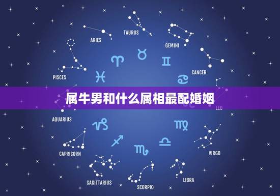 属牛男和什么属相最配婚姻，属马男和什么属相最配