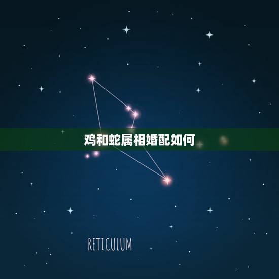 鸡和蛇属相婚配如何,蛇虎婚配 鸡和蛇属相婚配如何,蛇虎婚配