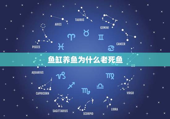 鱼缸养鱼为什么老死鱼，鱼缸养鱼老是死怎么办