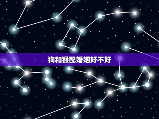狗和猴配婚姻好不好,属狗和猴婚姻搭配如何? 狗和猴配婚姻好不好,属狗和猴婚姻搭配如何?