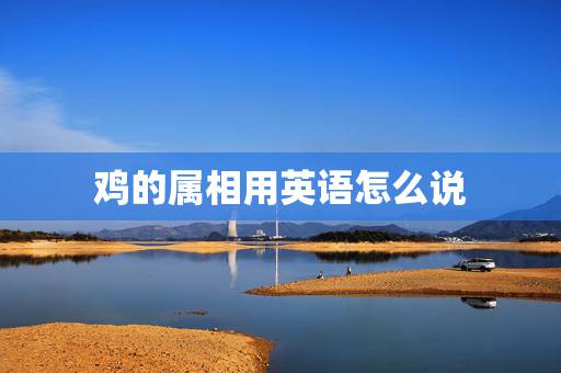 鸡的属相用英语怎么说，十二生肖用英语怎么说？