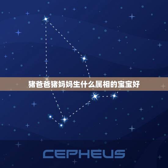 猪爸爸猪妈妈生什么属相的宝宝好，妈妈属猪，爸爸属鼠，生什么生肖的宝宝好