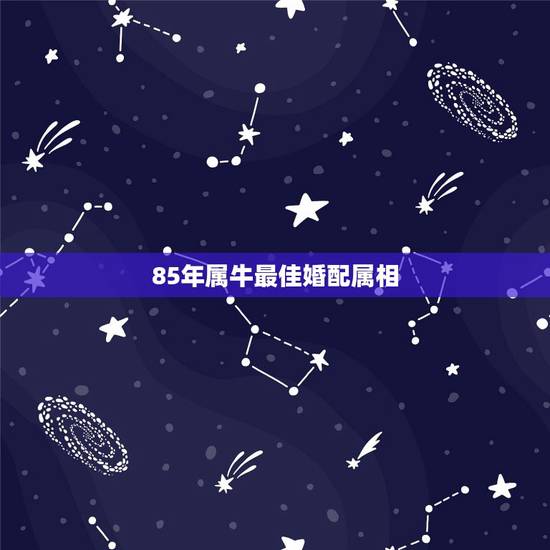 85年属牛最佳婚配属相 85年属牛最佳配偶 85年属牛最佳婚配属相 85年属牛最佳配偶