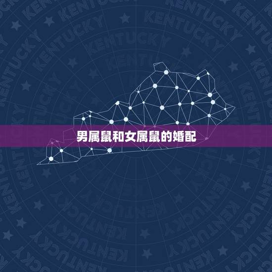 男属鼠和女属鼠的婚配，属相婚配：男属龙和女属鼠相配吗