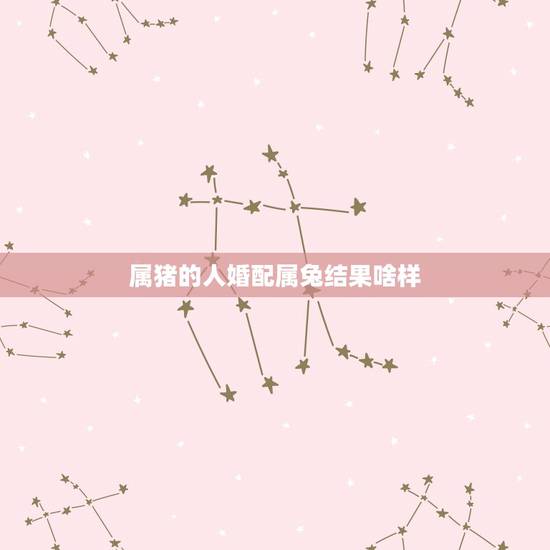 属猪的人婚配属兔结果啥样，请问一下大家，属猪和属兔的相配吗和得来吗？